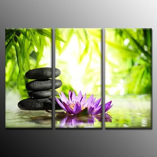 Bộ 3 tranh spa (40*60*3)