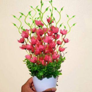 Hoa thủy tiên tự ráp
