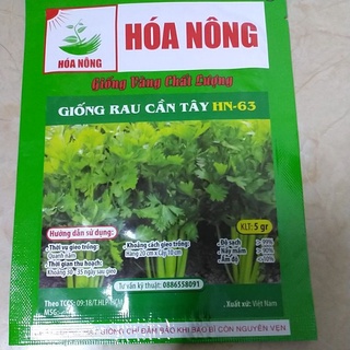 Hạt giống cần tây f1