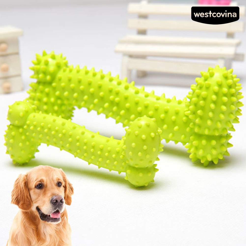 Đồ Chơi Gặm Hình Khúc Xương Bằng Tpr Cho Thú Cưng