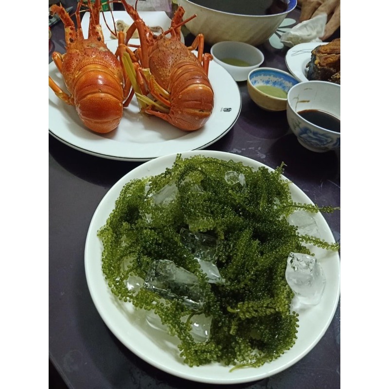 Rong Nho Trường thọ cao cấp Xuất khẩu( Hộp 400gr 20 gói + tặng 20 gói sốt mè rang) | BigBuy360 - bigbuy360.vn