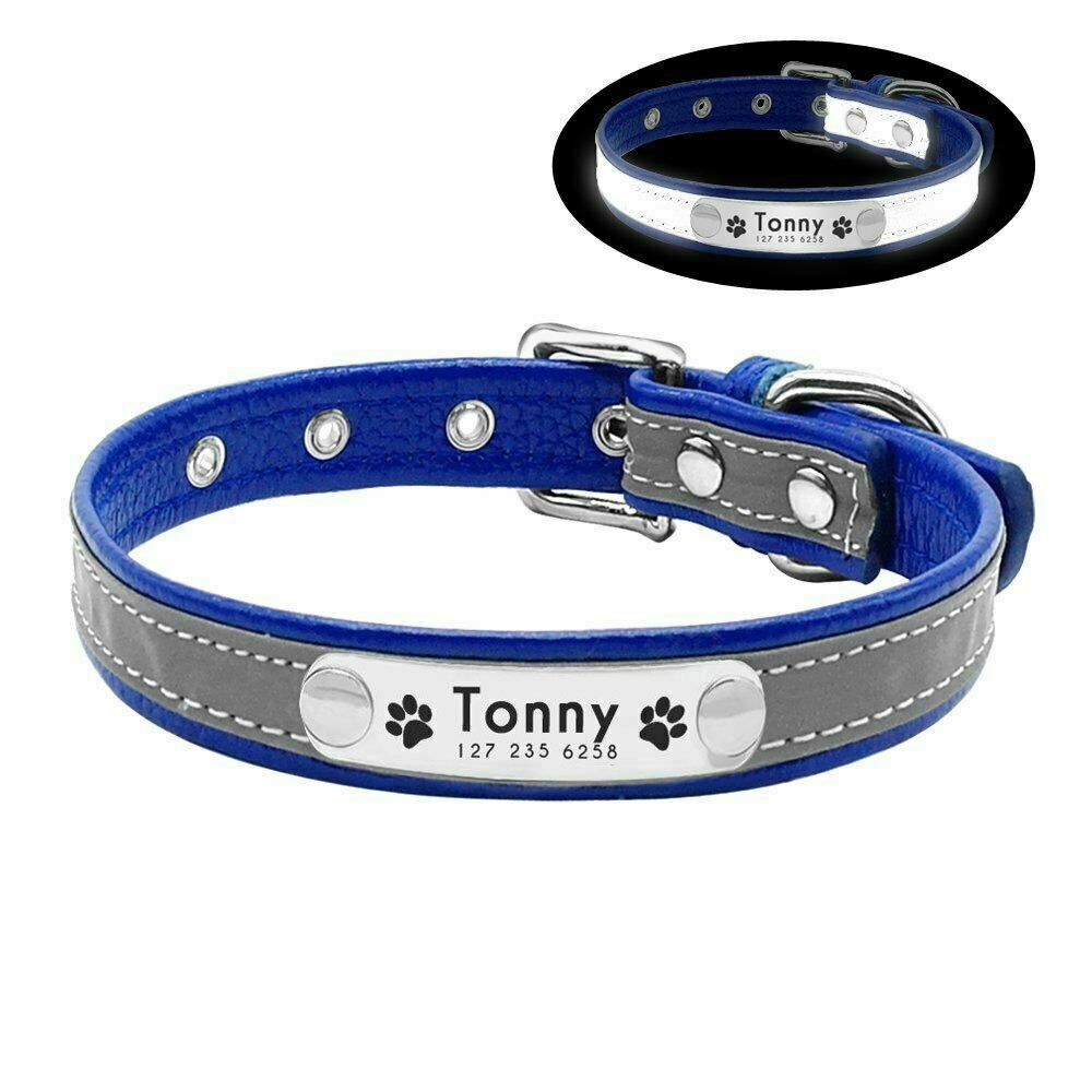 Vòng cổ khắc tên cỡ S-XXL chất liệu an toàn cho thú cưng