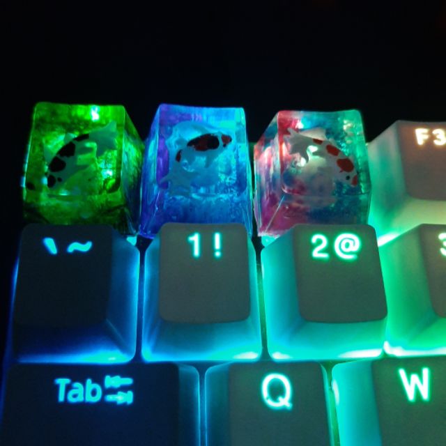 KoiCaps