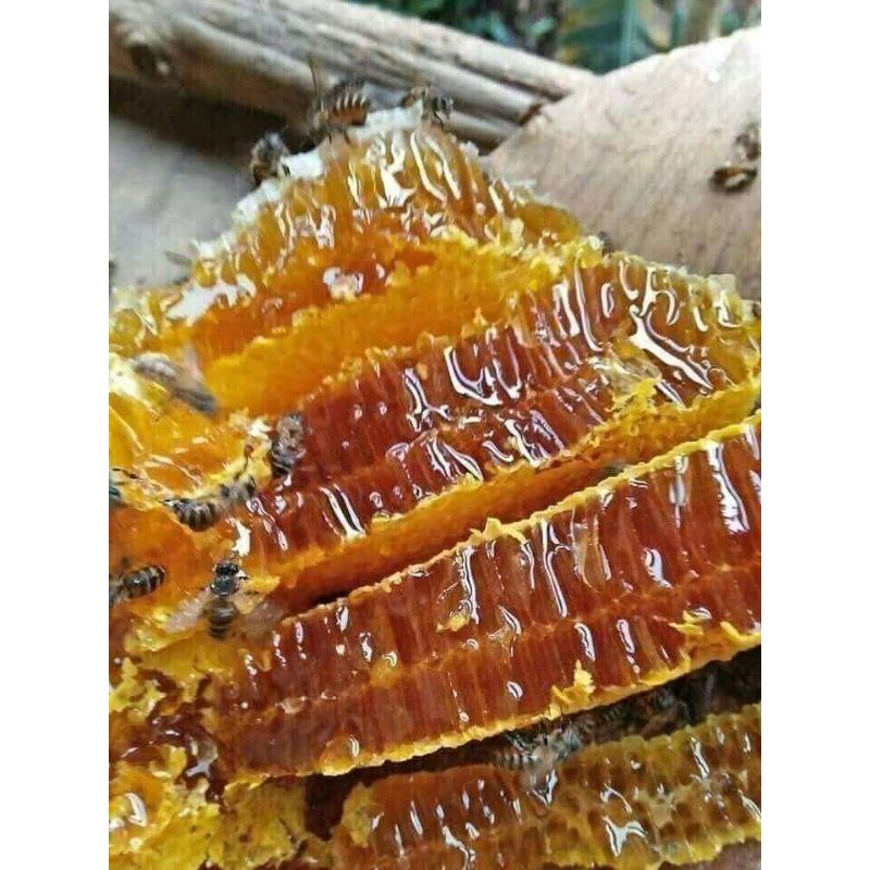 Mật ong nguyên chất, Mật ong hoa chôm chôm Long Khánh- Nguyên chất 100%- Chai 330mml~500mml