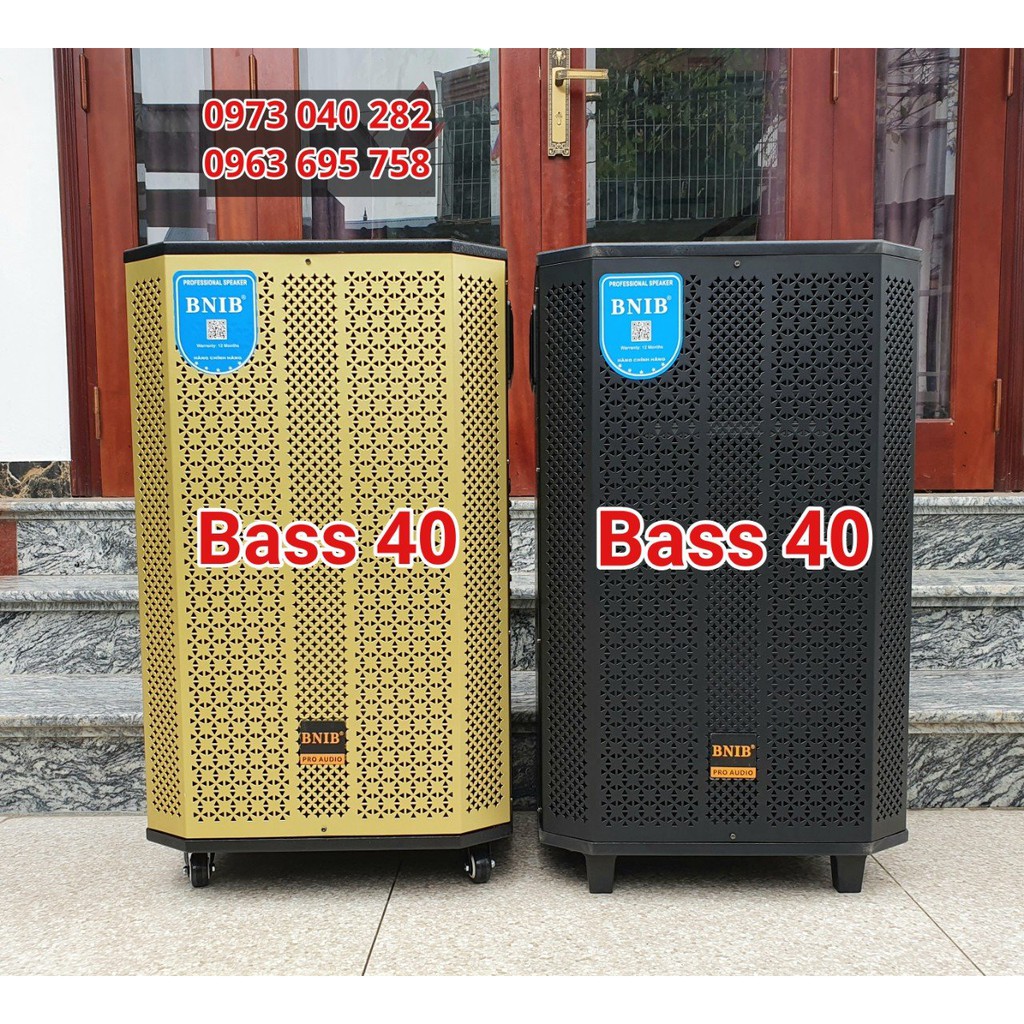 Loa kéo bass 40 hay nhất trong tầm giá – hàng chính hãng BNIB 1599