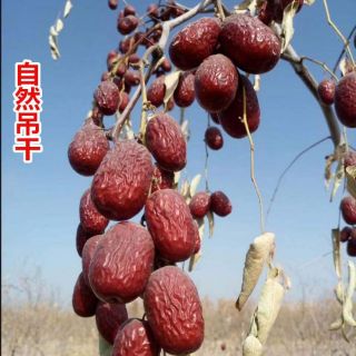 TÁO ĐỎ TÂN CƯƠNG- 1KG
