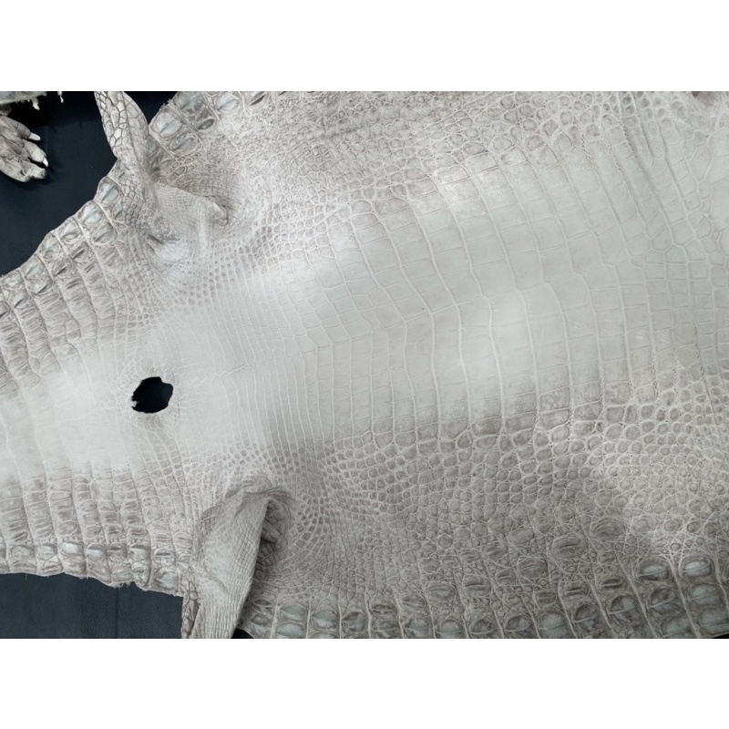 Da cá sấu trắng