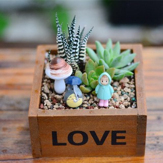 Chậu gỗ vuông trồng sen đá trồng cây