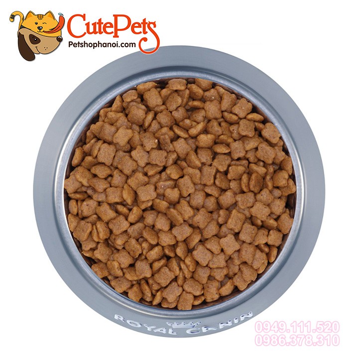 Thức ăn cho mèo con Royal Canin Kitten 36 1kg Hạt cho mèo cao cấp từ Pháp - Phụ kiện chó mèo uy tín