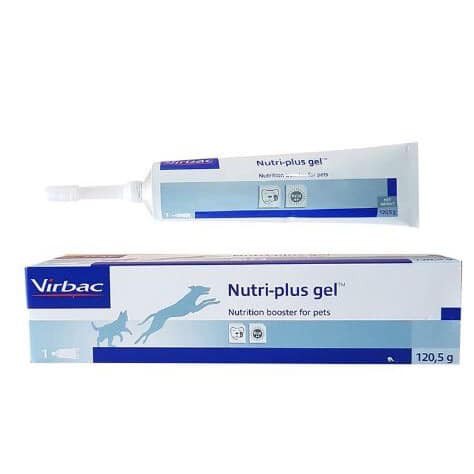 GEL DINH DƯỠNG VIRBAC CHO THÚ CƯNG