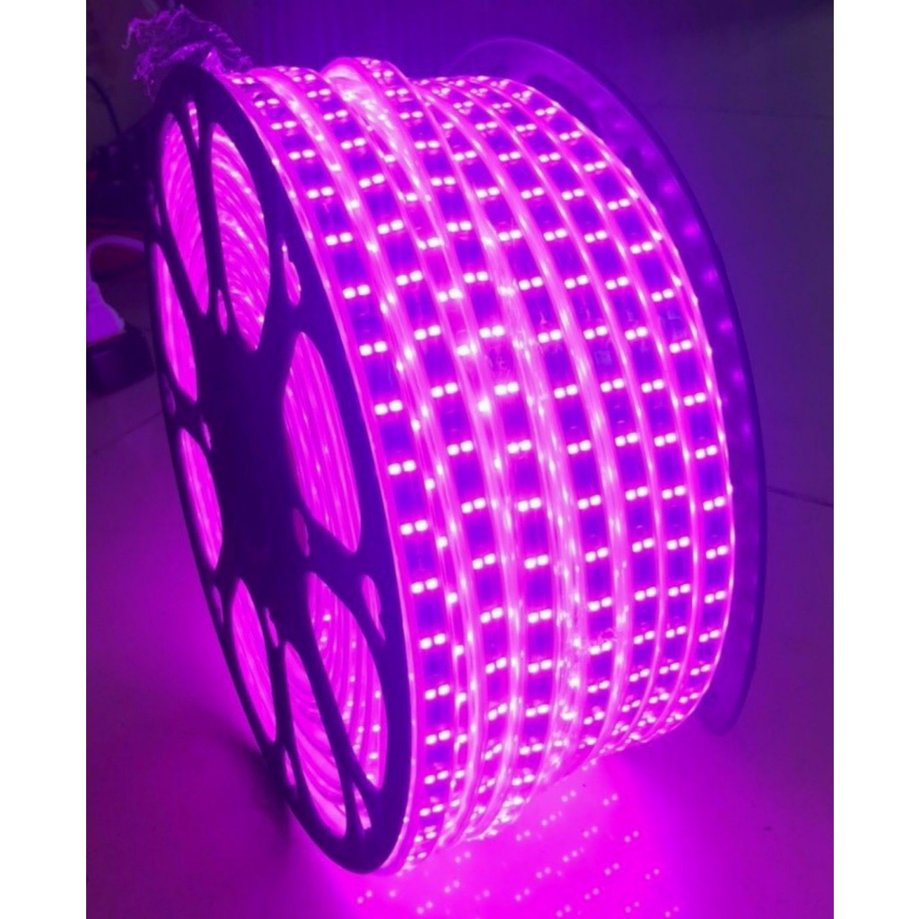 Dây led chống nước trang trí 2835 siêu sáng - 2 hàng bóng.led dây trần thạch cao - quấn cây