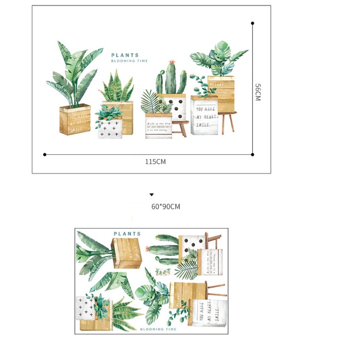 Decal trang trí tường - Nhiều chậu cây xanh trong chậu gỗ