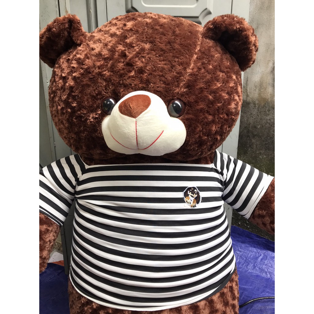 [HOT HOT HOT] Gấu Bông Teddy 1m8 [ BÁN BỞI NHÀ SẢN XUẤT ]  siêu đáng yêu ôm siêu phê