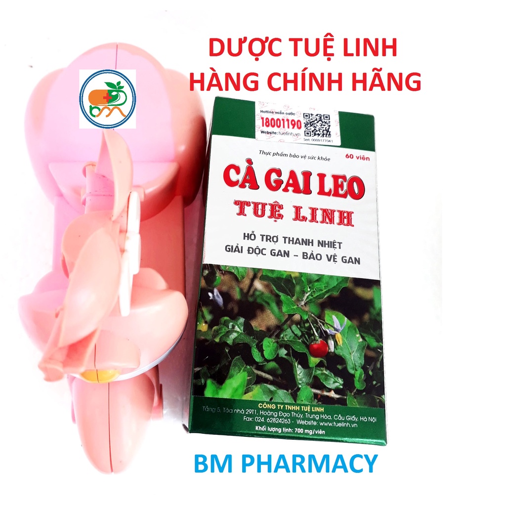 (CHÍNH HÃNG - TÍCH ĐIỂM) Cà gai leo Tuệ Linh, hỗ trợ thanh nhiệt, giải độc gan, bảo vệ gan và tăng cường chức năng gan