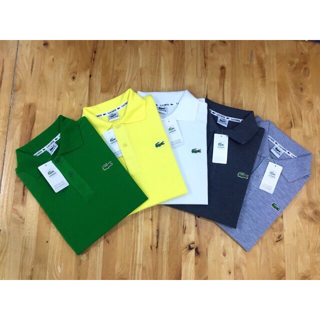 Áo thun cá sấu nam ( ib chọn size và mẫu theo yêu cầu ) | BigBuy360 - bigbuy360.vn