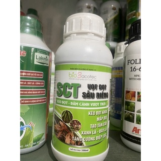 Sct vọt đọt sầu riêng – kéo đọt, đâm cành vượt trội