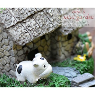 Tiểu cảnh mini_Bậc thang xám_CA167