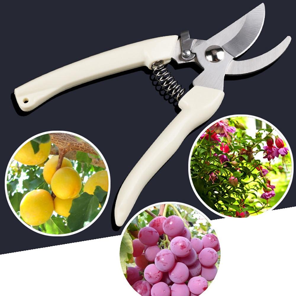Kéo Cắt Tỉa Cây Trái Cây Chuyên Dụng