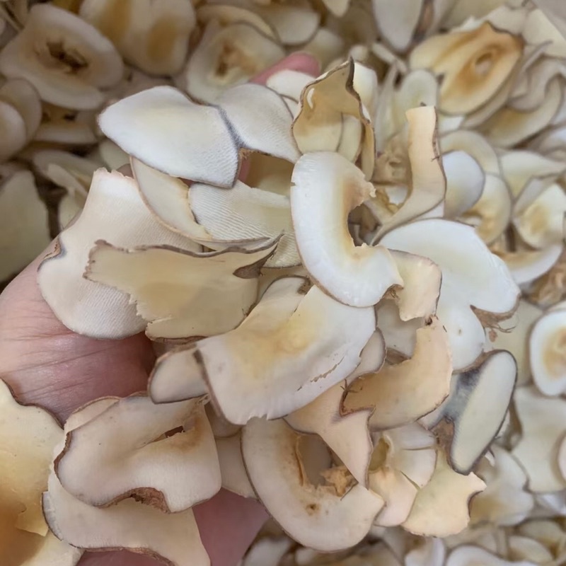 Dừa biển khô coconut palm 500g