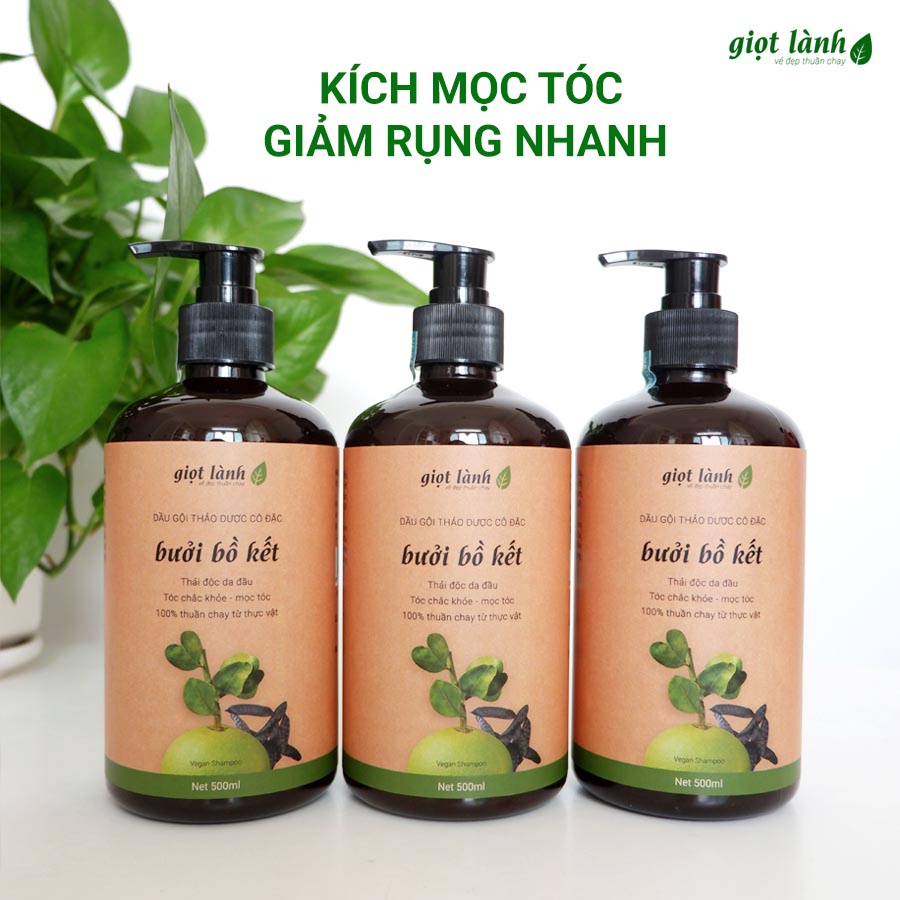 Dầu gội bồ kết, bưởi xanh, thảo dược đun cô - Giảm rụng nhanh, kích mọc tóc, giảm ngứa da đầu Giọt Lành 500ml