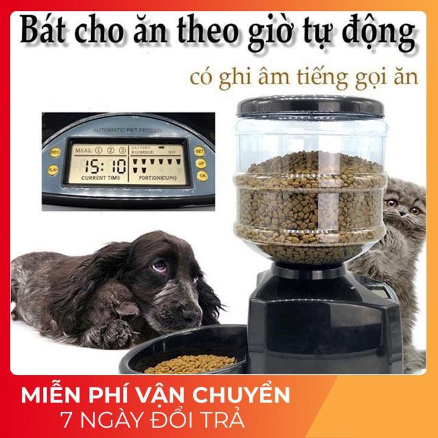 Máy bát ăn hẹn giờ cho ăn tự động 5.5L Có ghi âm gọi ăn [Hot]