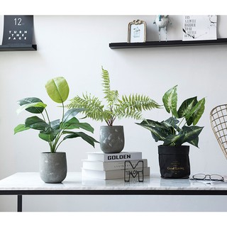 Cây giả decor trang trí loại nhỏ