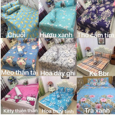 Free ship Bộ ga gối poly 1m2 mẫu gấu nâu