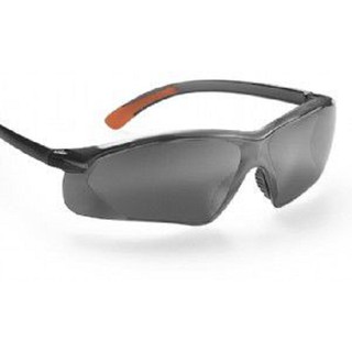 Kính bảo hộ Proguard Malaysia Serpent-SSM