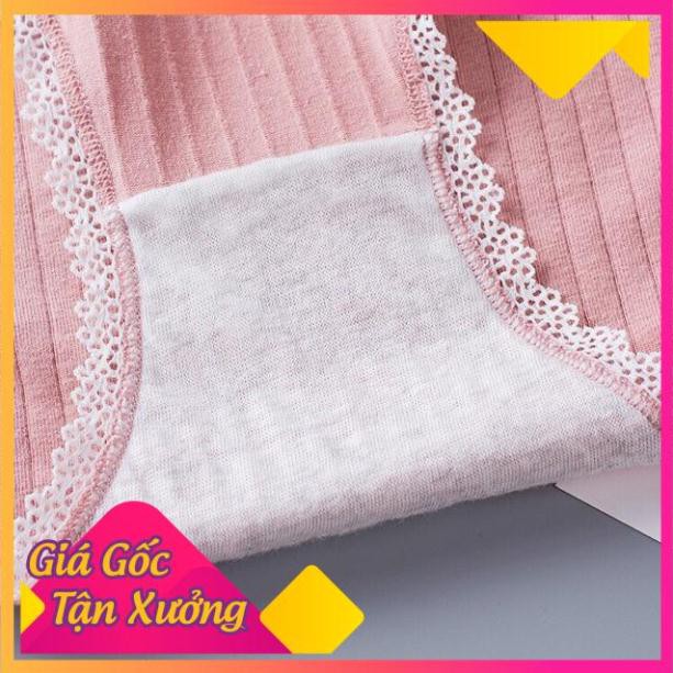 Quần Lót Cotton Tăm Viền Ren xuất Nhật 5362