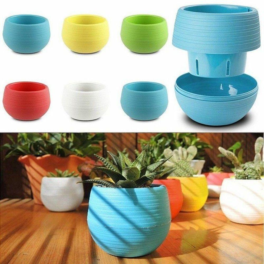 Set 6 Chậu Hoa Mini Trang Trí Nhà Cửa / Văn Phòng