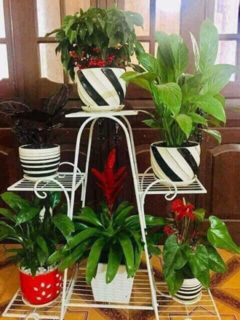 KỆ SẮT ĐỂ CHẬU HOA CÂY CẢNH 6 TẦNG SIÊU ĐẸP