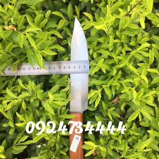 Dao gọt hoa quả không rỉ, dao bổ sầu riêng, lọc cá.