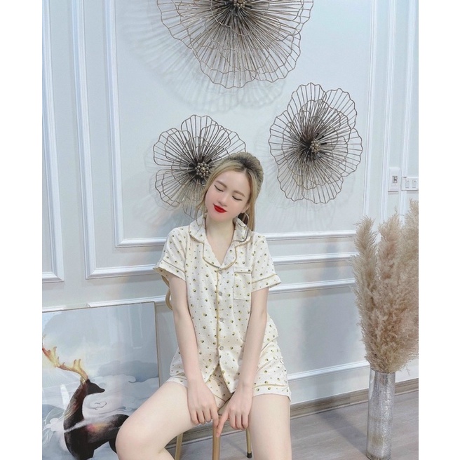 Bộ pijamas chất đũi hoạ tiết nhiều hình mặc nhà, Đồ ngủ xinh quần đùi áo cộc mặc mát cho mùa hè