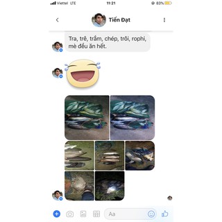 Bài mồi câu lance LK.Hoa