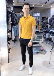  Polo Đôn Chề(DG👑)