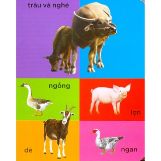 Sách - 100 Từ Mới - Làng Quê Của Em