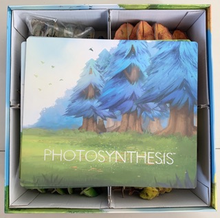 Board Game Photosynthesis