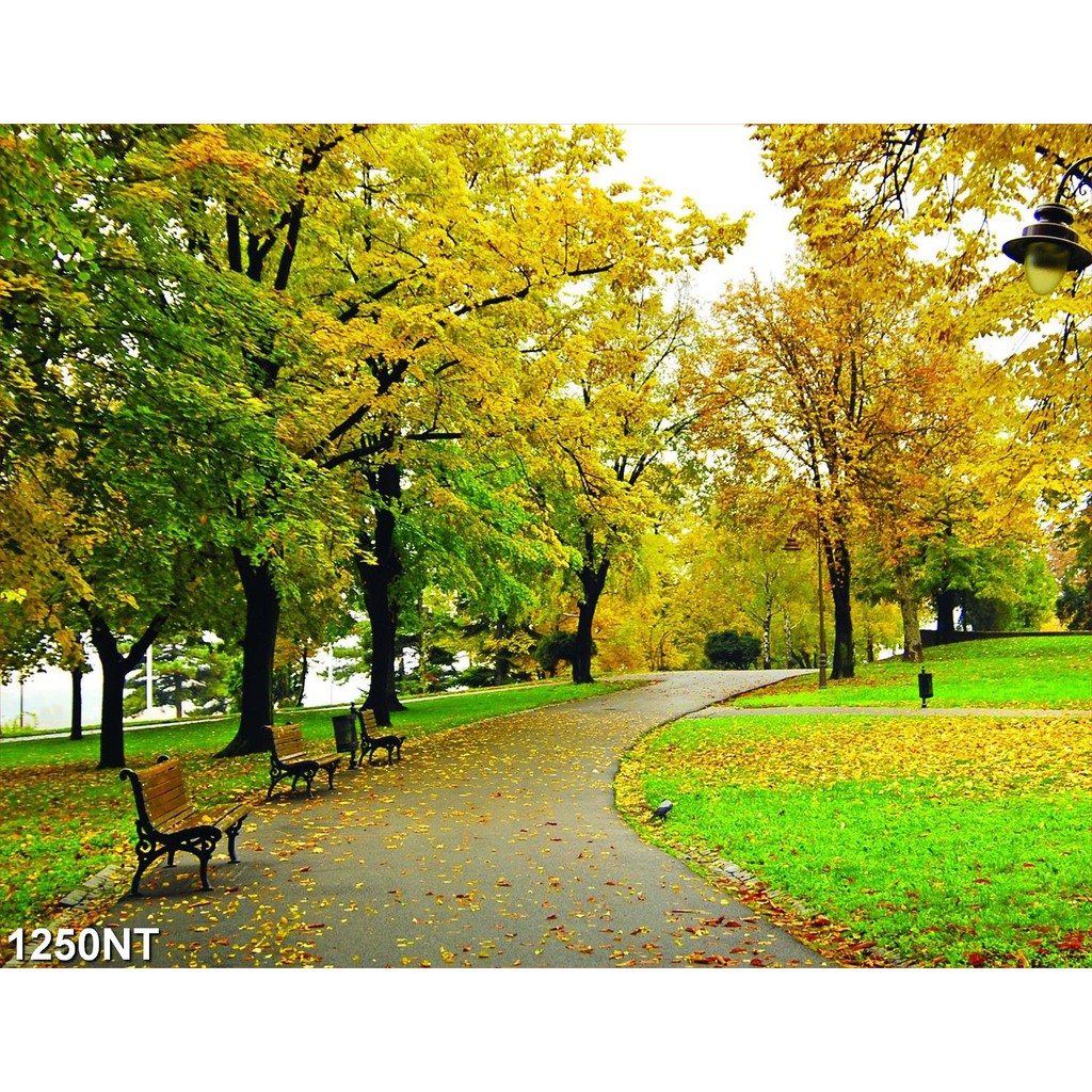 TRANH DÁN TƯỜNG 3D PHONG CẢNH,CẢNH VẬT, CẢNH TRANG TRÍ,THIÊN NHIÊN.