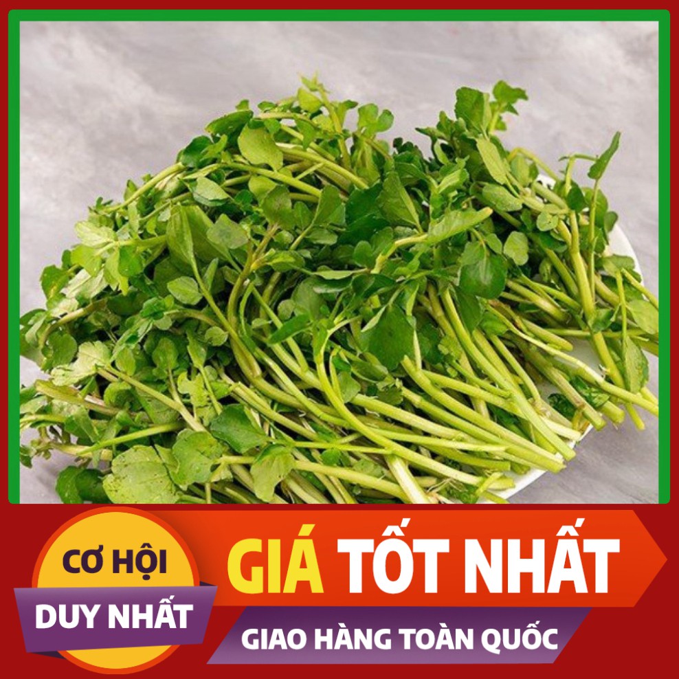 Hạt giống rau Cải Xoong