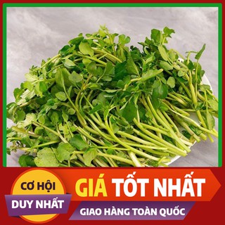 Hạt giống rau Cải Xoong