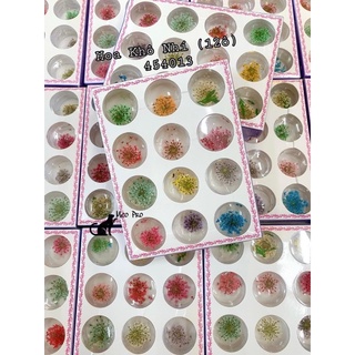 Set hoa khô ( kèm lá ) 12 ô đính móng tay chân