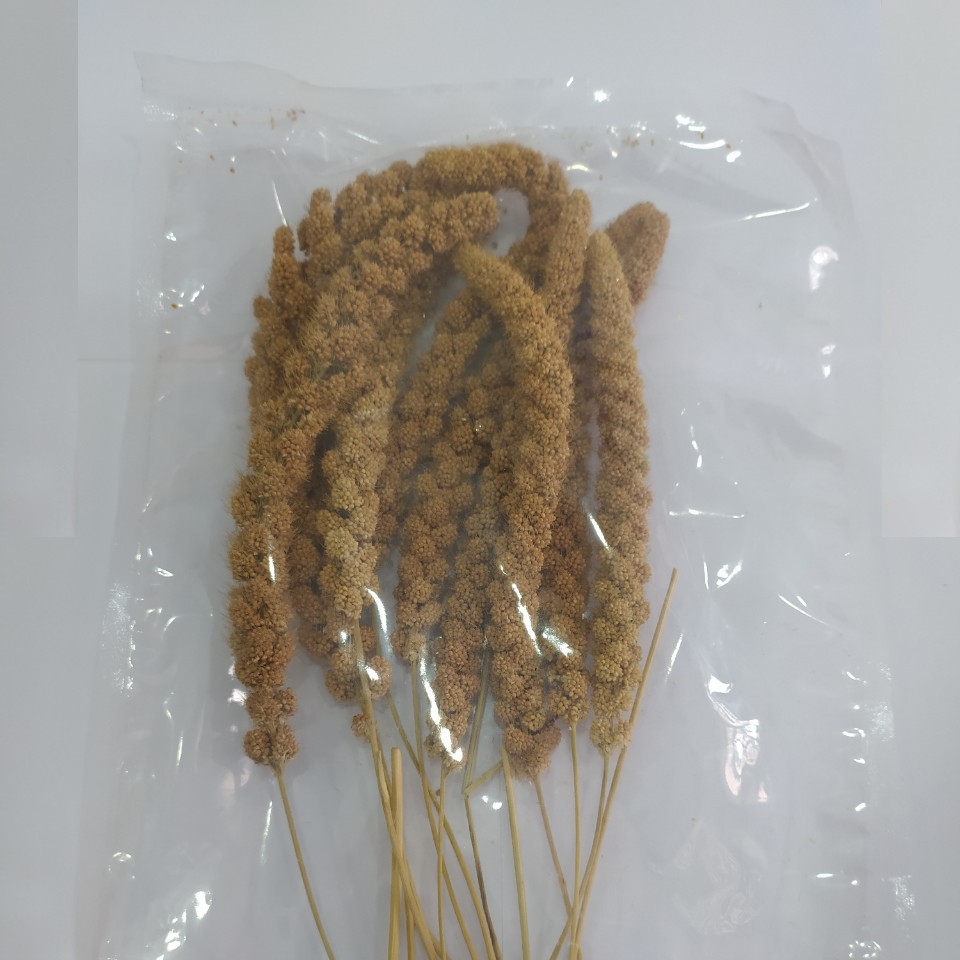 Bông kê khô túi 100g Bông Kê nguyên Cành tắm cho bé gái