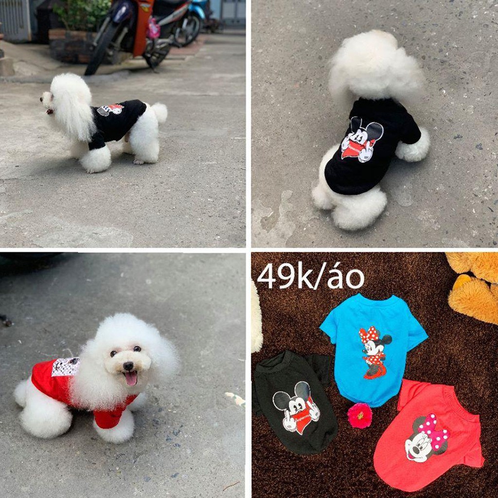 Quần áo chó mèo ( Áo phông Mikcey nhiều màu)