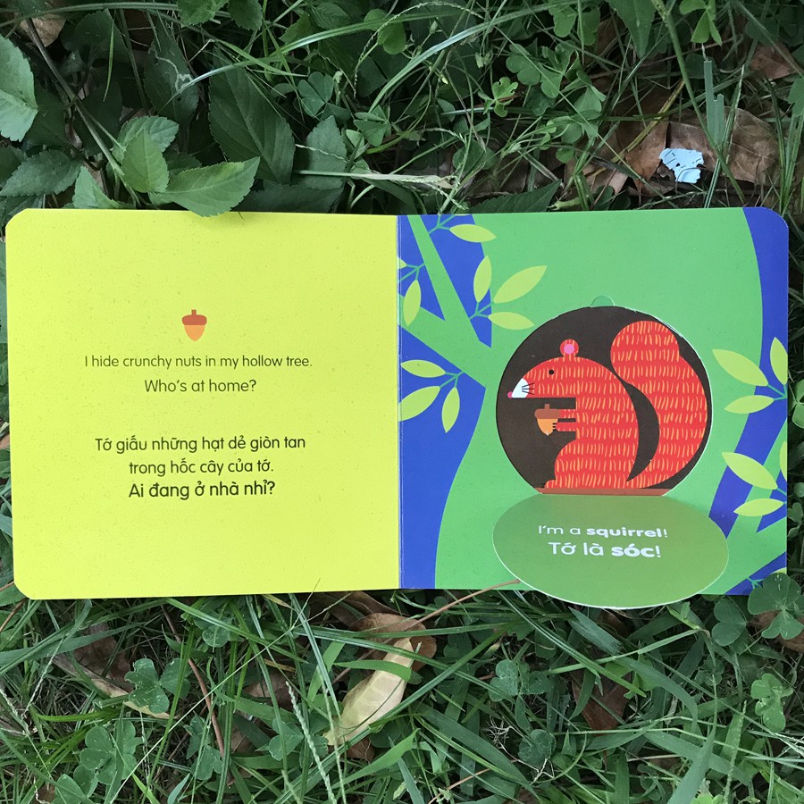 Sách - Lift The Flap - Lật mở khám phá - Ai đang ở nhà nhỉ?