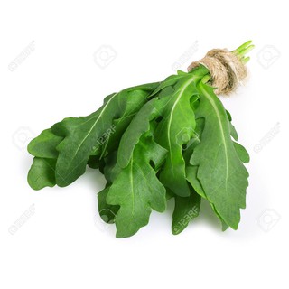 Hạt giống rau cải rocket cao sản
