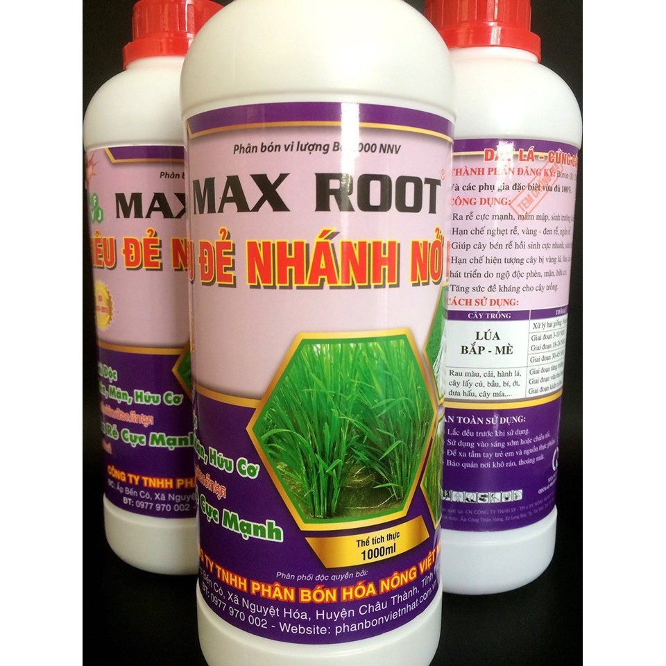 Phân Bón Chuyên Lúa Max Root Đẻ Nhánh Nở Bụi Chai 1 Lít - Ra Rễ Mạnh, Giải Độc Phèn, Mặn, Hữu Cơ