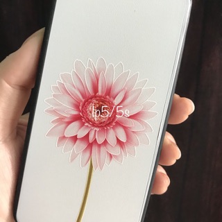 Ốp hình Iphone 5/5s