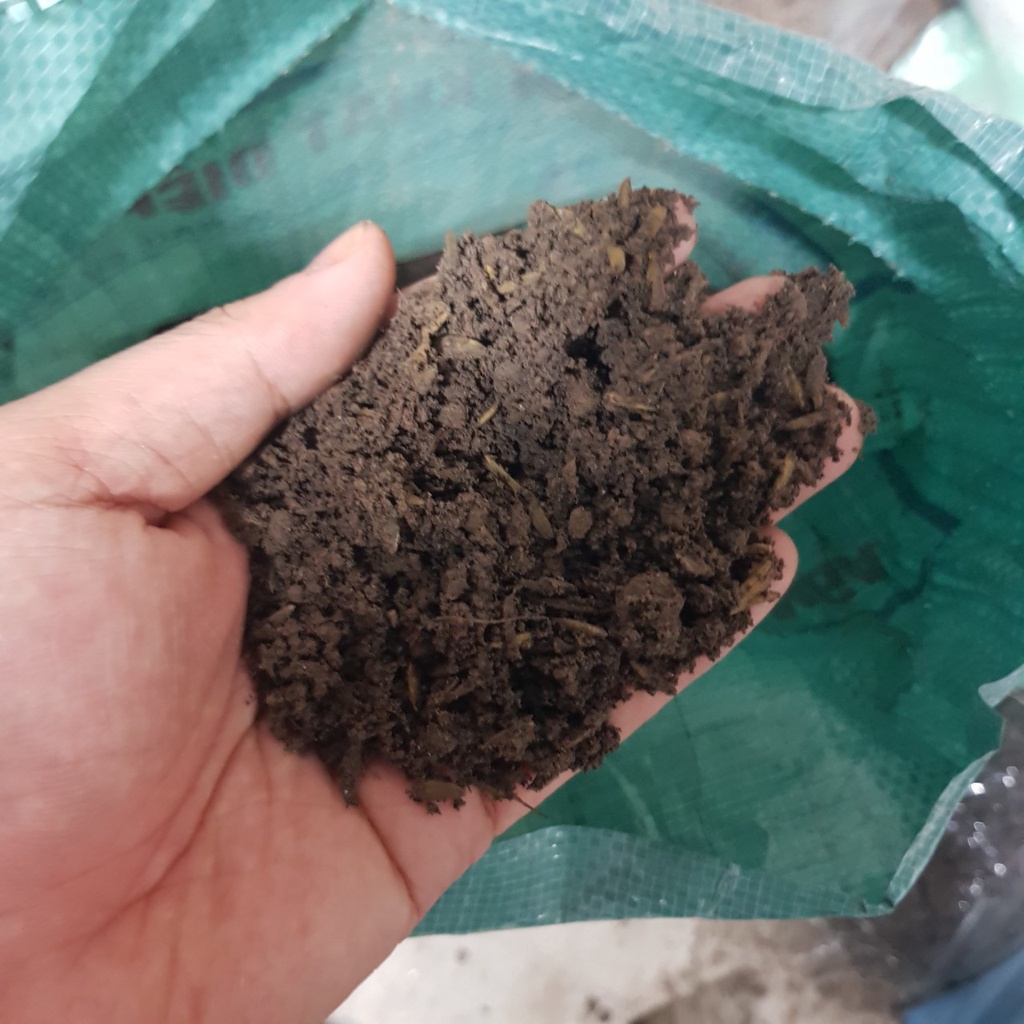 Mua 10 tặng 1  Đất ONEFARMS, đất sạch Trồng Cây Siêu Dưỡng Chuyên Dùng Cho Dâu Tây, Sen đá.