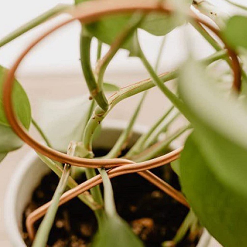 Sturdy Giá Đỡ Cây Cảnh Bằng Kim Loại Chống Rỉ Siêu Bền Tiện Dụng Cho Gia Đình