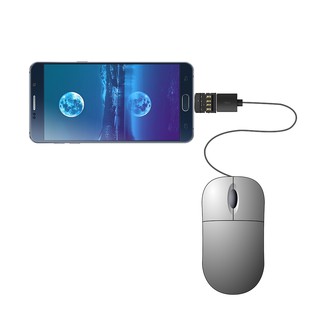 Đầu Chuyển Đổi Từ Cổng Type-C Sang USB OTG